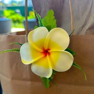 Plumeria Flower Clips. For hair, shoes, clothing, and more!